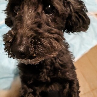 赤ちゃんみたいに甘えて離れない女の子