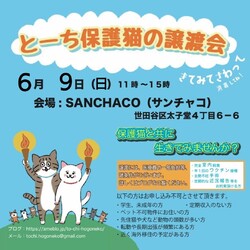とーち保護猫の譲渡会@三軒茶屋