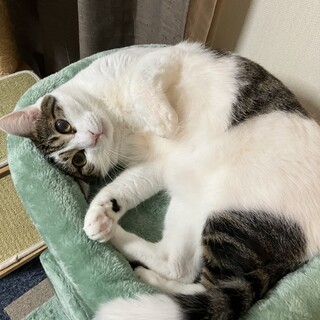 優しいちょっとビビリな男の子