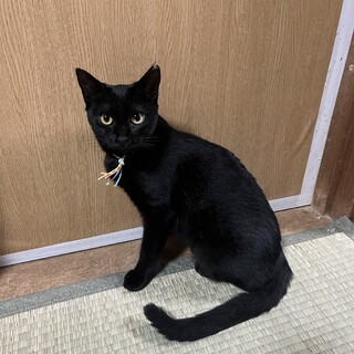 甘えん坊の女の子1歳