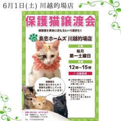 6/1（土）島忠ホームズ川越的場店保護猫譲渡会