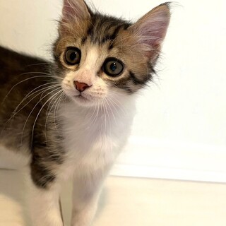 6/2西千葉ෆ⃛人が大好きෆ⃛さくちゃん