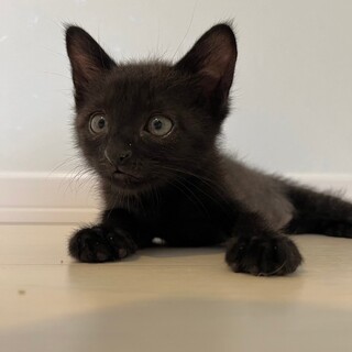 6/2西千葉ෆ⃛運動神経抜群ෆ⃛ゼットくん