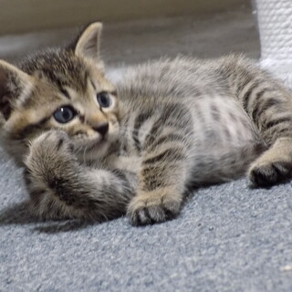 里親さんに会えました