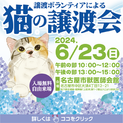 猫の譲渡会☆大須商店街近く