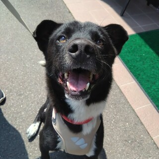 人が大好き【もっくん】くん