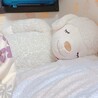 元気な三毛猫ちゃん