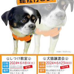 AWA総社犬ねこ譲渡会