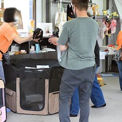 AWA総社犬ねこ譲渡会 サムネイル3