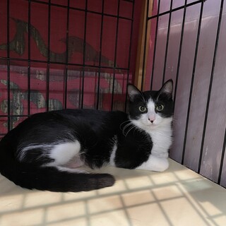 子育てままのくりちゃん