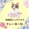 保護猫シェアハウス　てぃーるーむ（保護活動者）