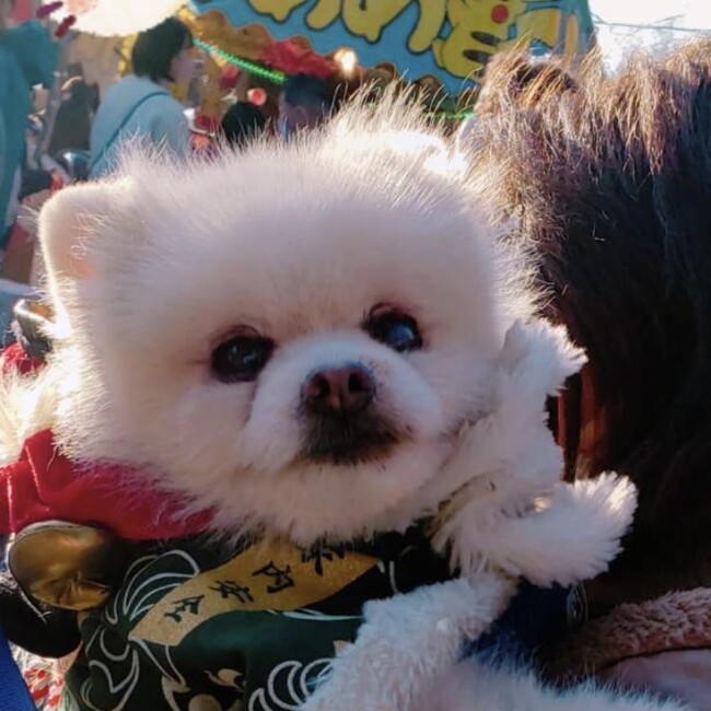 yuki_Tokyoのカバー写真