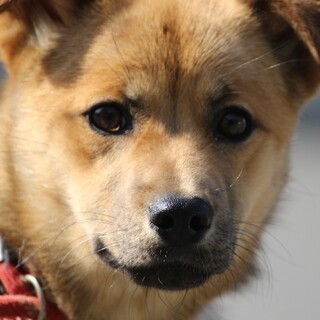 溢れる愛おしさ♡べっぴんさんの美空(みそら)ちゃん