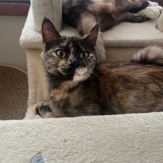 6/23稲毛海岸ෆ⃛口元むっくりෆ⃛レインちゃん