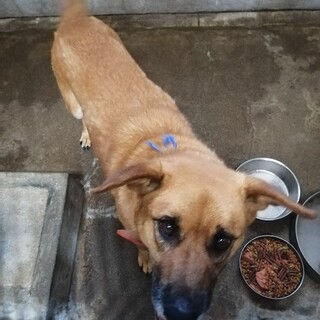 ☆人懐っこくて優しい女の子☆