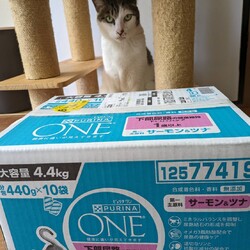 「ご支援ありがとうございます！」サムネイル3