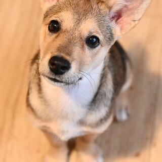 ラナちゃん❤️