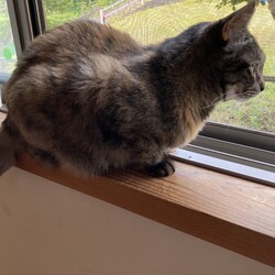 春を感じる