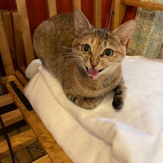 小柄な麦わら女の子♡寿（こと）ちゃん