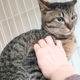 リオちゃんのトライアルOK！