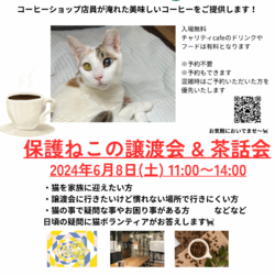 保護ねこの譲渡会　and 茶話会　in 緑区