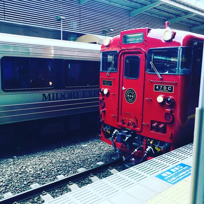 こんどのすけのカバー写真