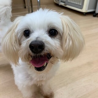 人が大好き甘えん坊♡きらりちゃん8歳