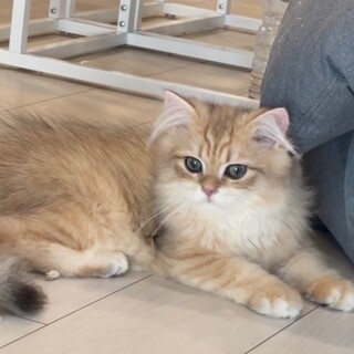 太郎くん里親募集！