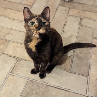 小顔でお淑やかな美魔女、千（せん）ちゃん！