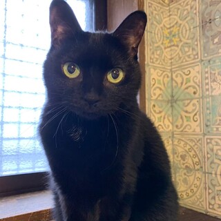 上目遣いで見られるとたまらない！ニョロニョロ！