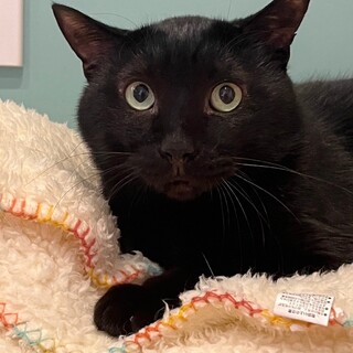 安心安定のムチムチボディ！スノークくん