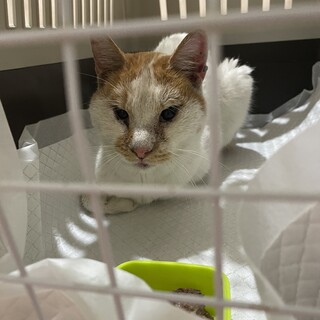 募集終了しました。