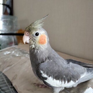 多くの方からご応募いただき本当に有難うございました