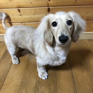 諸事情により募集終了します。