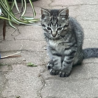 元気な女の子！