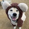 の写真