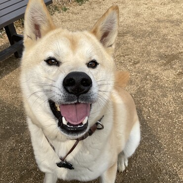 の写真