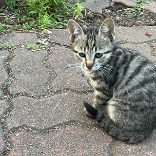 わんぱくな男の子！