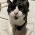 おしゃべり大好きはるおくん。話し相手に最高です