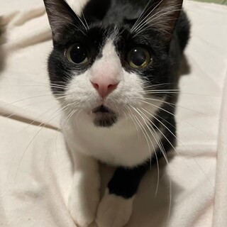 おしゃべり大好きはるおくん。話し相手に最高です