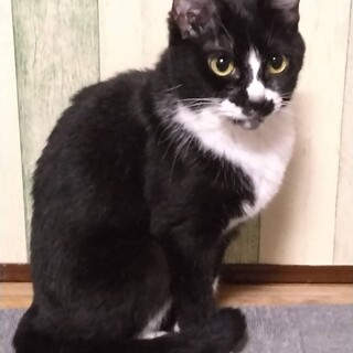 慣れ慣れのメルちゃん