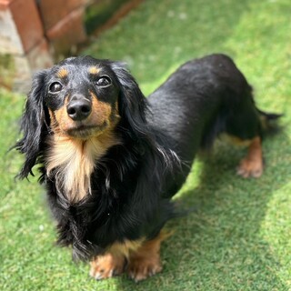 フレンドリーな子です☆カニヘンダックス女のコ