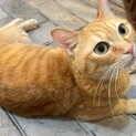 ずっと楽しくすごしたい！楽（らく）くん！