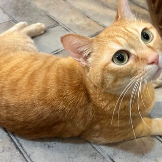 ずっと楽しくすごしたい！楽（らく）くん！