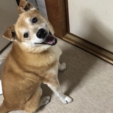 の写真