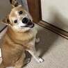 の写真