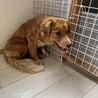 調整中のため一旦ストップさせていただきます。 サムネイル3