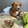調整中のため一旦ストップさせていただきます。 サムネイル4