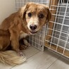 調整中のため一旦ストップさせていただきます。 サムネイル6