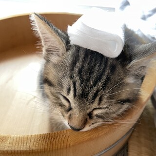 甘えてほしい方、必見！